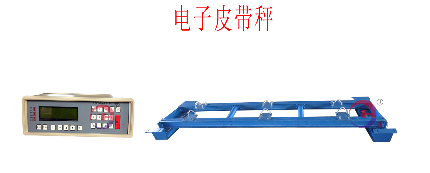 TW-C系列電子皮帶秤